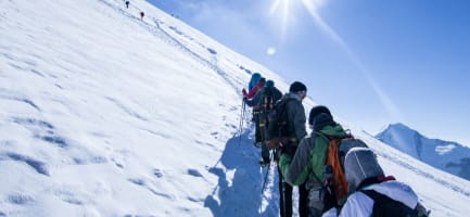 Wild Nature Expeditions